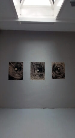 NSTTTZRWHRKRFTZRSTZNG | Freiburg